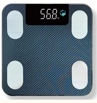 Lifenity Weighing Scale